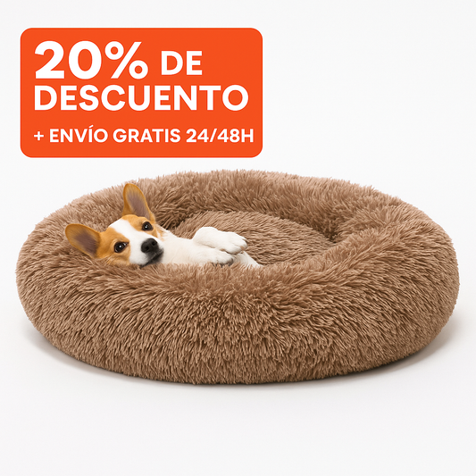 GlobitaCalm™ donde tu perro encuentra calma y confort 🐾